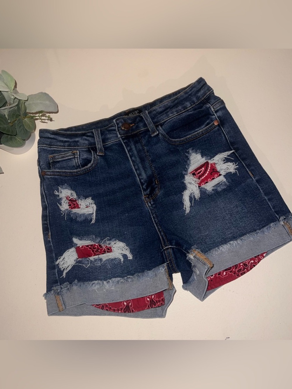 Judy Blue shorts